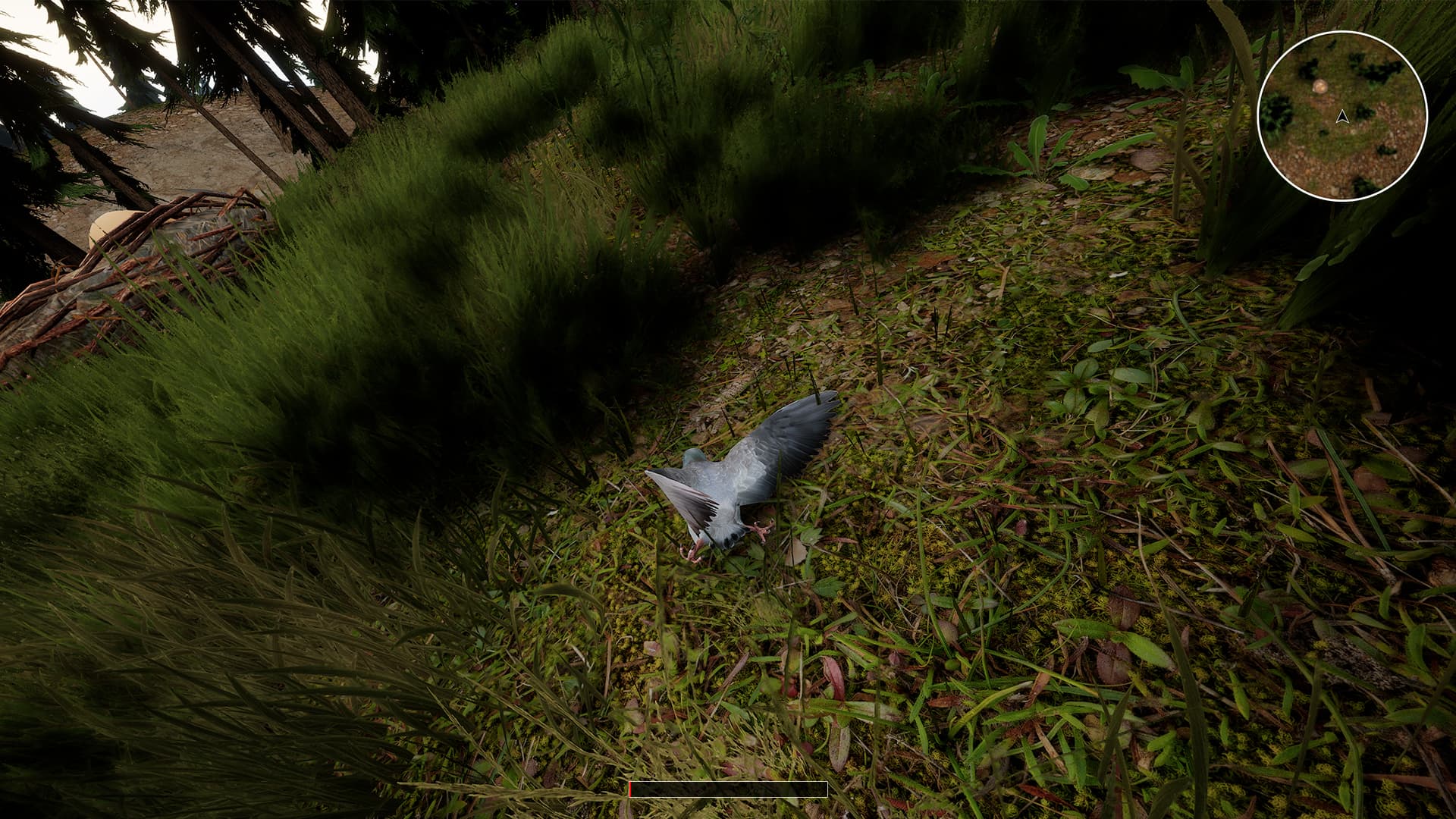 Birds of War Screenshot 3