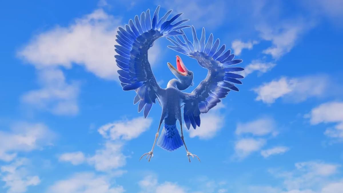 A shoebill flying toward the camera with its wings spread against a bright blue sky